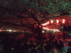 Hanami Uenon puistossa